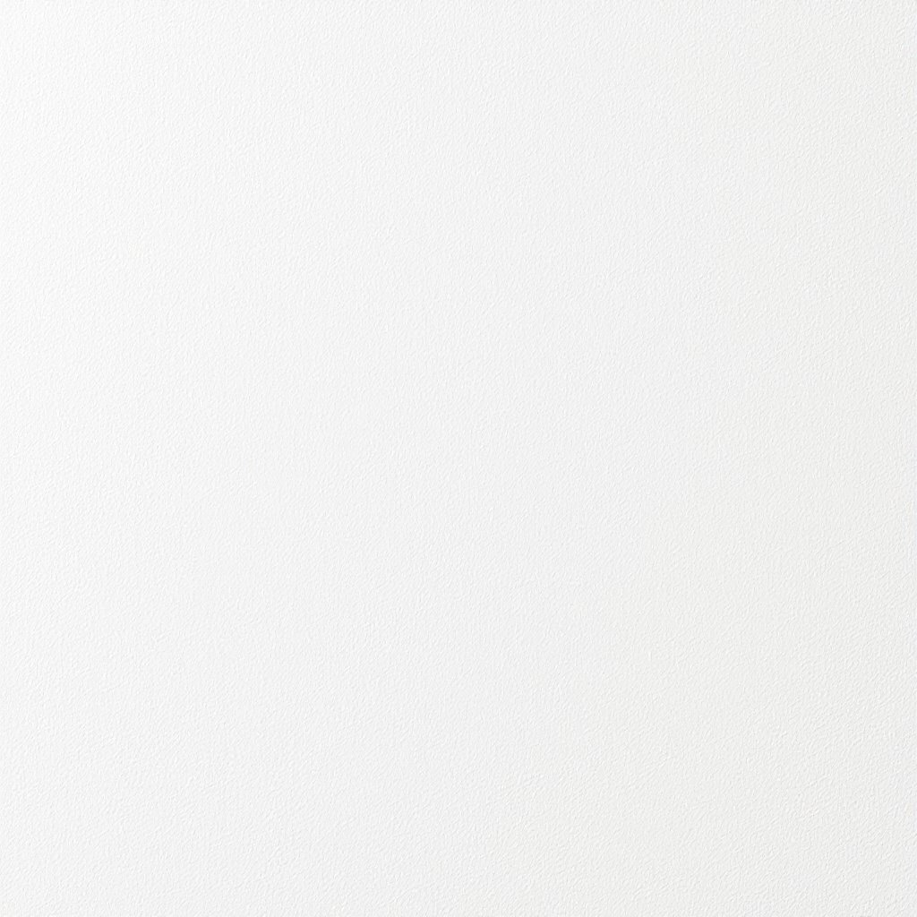 radon mitigation service